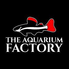 Aquarium factory